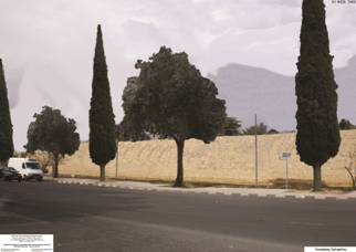 Lefkosia, Salaminos avenue with cypress and olive trees.